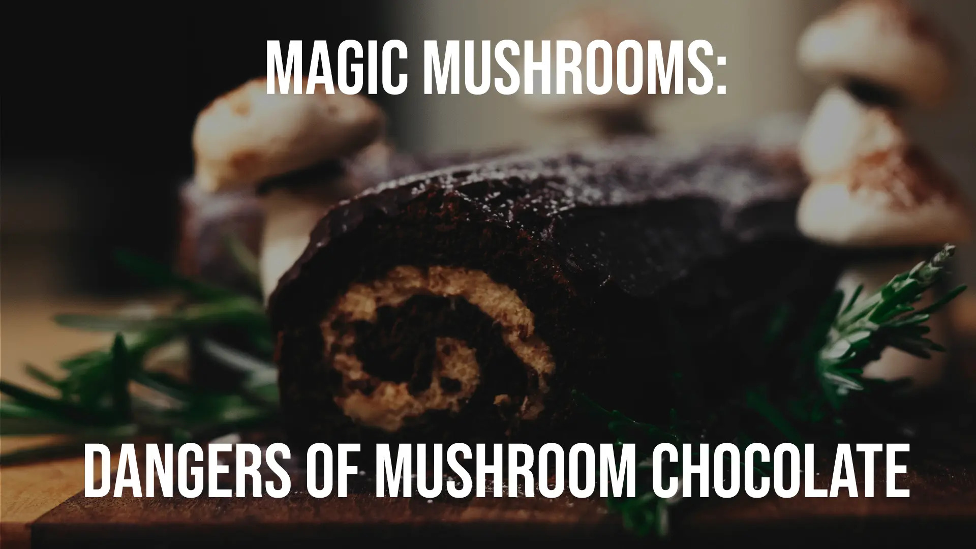 mushroom-chocolate